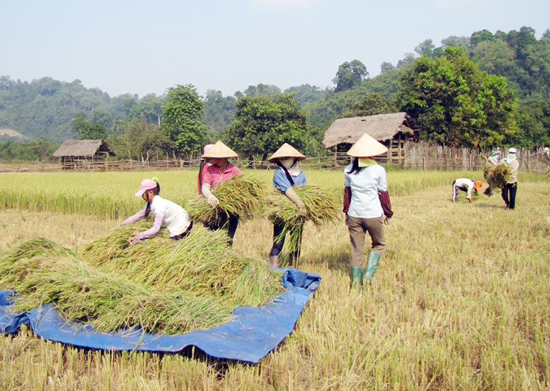 Chính sách ưu đãi, hỗ trợ đối với nông dân Chính sách ưu đãi, hỗ trợ đối với nông dân