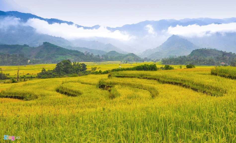 Tháng 3 về, ngắm Quảng Ngãi thay màu với cánh đồng bát ngát Tháng 3 về, ngắm Quảng Ngãi thay màu với cánh đồng bát ngát