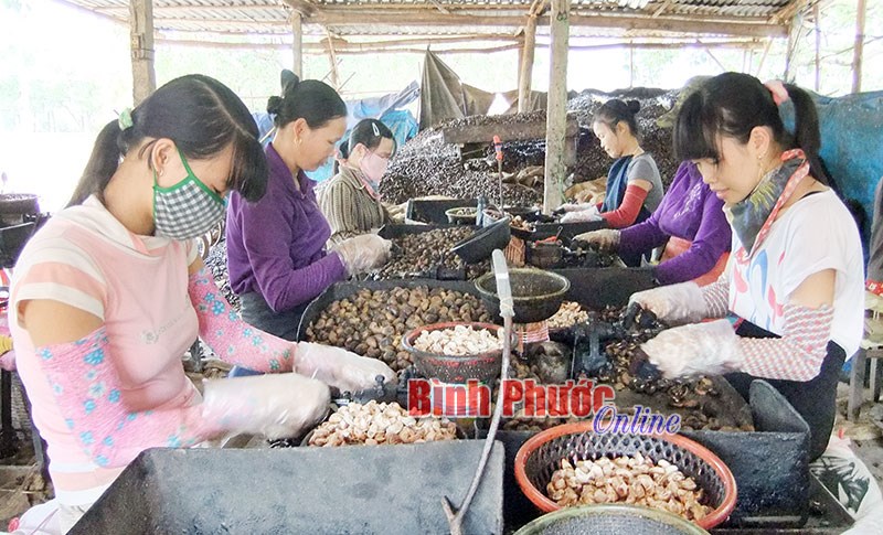 Động lực mới cho phát triển nông nghiệp và nông thôn Động lực mới cho phát triển nông nghiệp và nông thôn