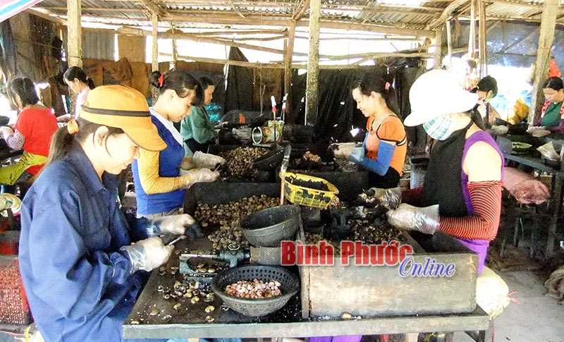 Động lực lớn cho doanh nghiệp nhỏ và vừa phát triển Động lực lớn cho doanh nghiệp nhỏ và vừa phát triển