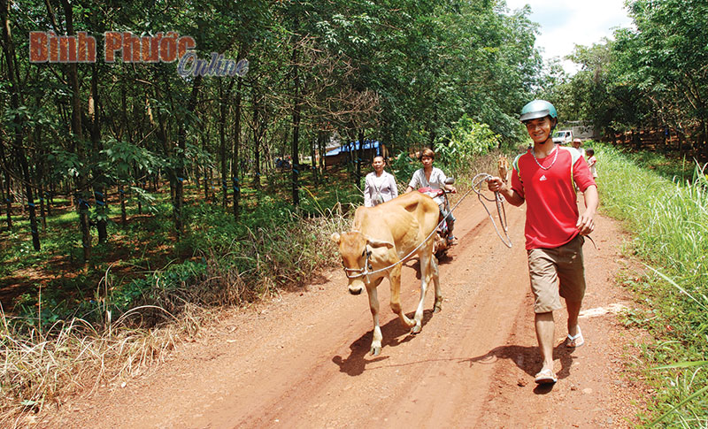 dongphu.jpg