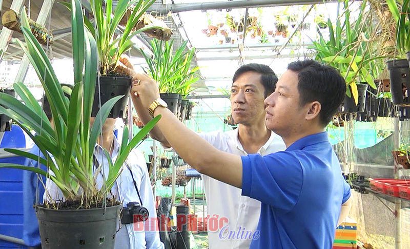 dongxoai12032019093521.jpg