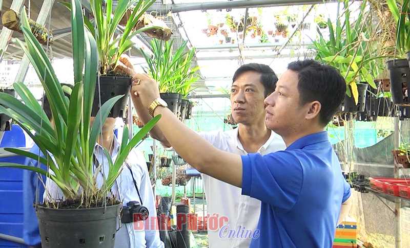 Đồng Xoài: Hỗ trợ xây dựng 6 mô hình khởi nghiệp