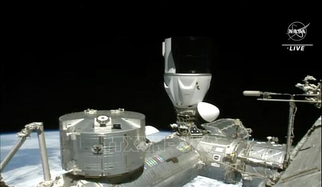 dragon_300623_00311002072023.jpg