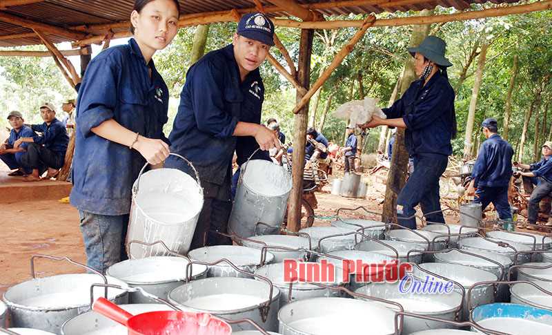 Những nội dung phải có trong HĐLĐ