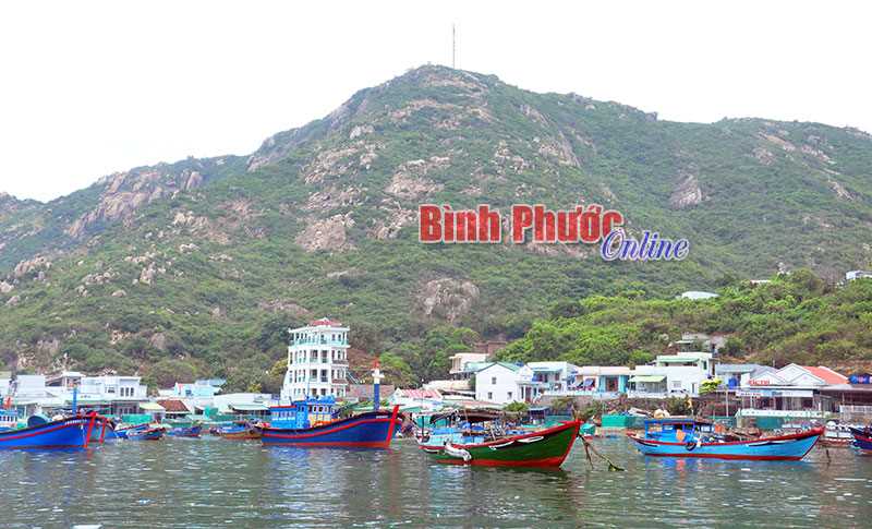Hoạt động hưởng ứng Tuần lễ Biển hải đảo Việt Nam