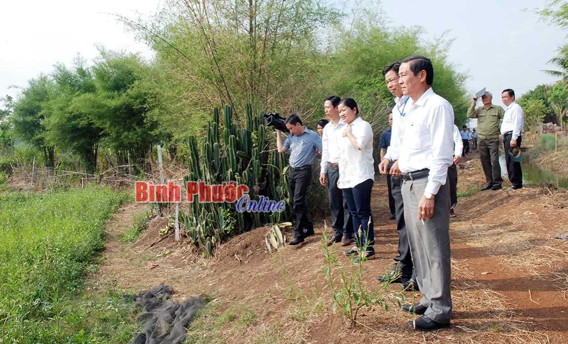 Phải nộp tiền bảo vệ đất trồng lúa khi chuyển mục đích sử dụng