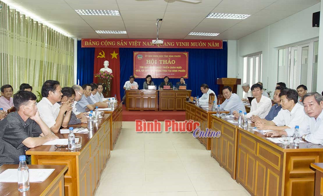 Hội thảo tìm giải pháp phát triển chăn nuôi quy mô trang trại Hội thảo tìm giải pháp phát triển chăn nuôi quy mô trang trại