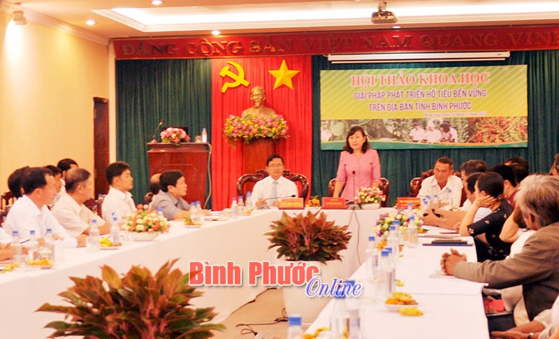 Hội thảo phát triển hồ tiêu Bình Phước bền vững Hội thảo phát triển hồ tiêu Bình Phước bền vững