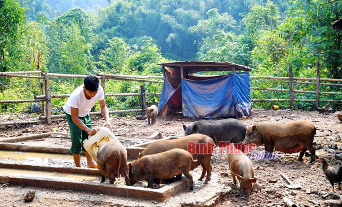 Tăng gia trên vùng đất khó Tăng gia trên vùng đất khó