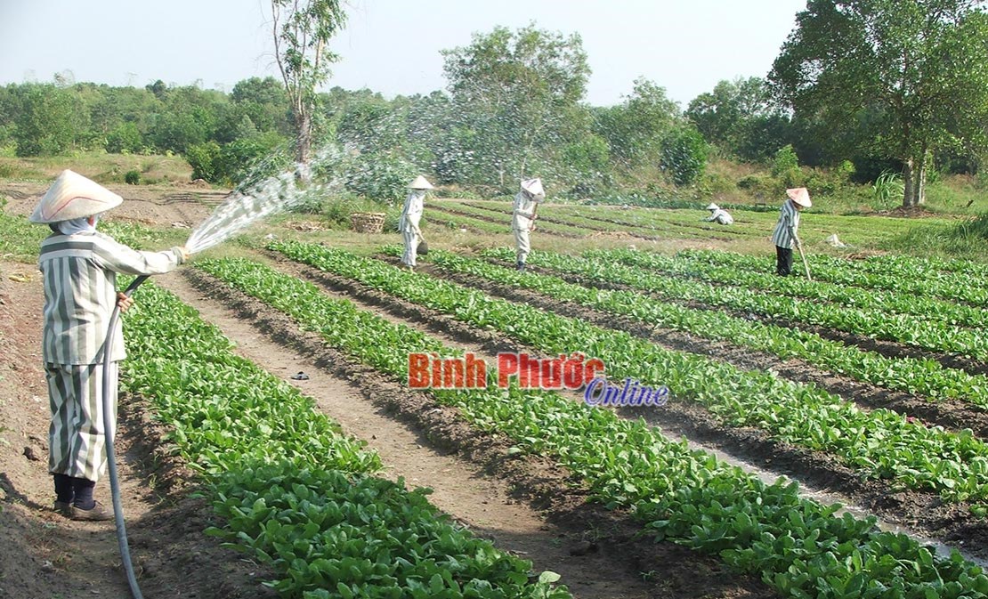 Tạo cơ hội tái hòa nhập cho người chấp hành xong án phạt tù Tạo cơ hội tái hòa nhập cho người chấp hành xong án phạt tù