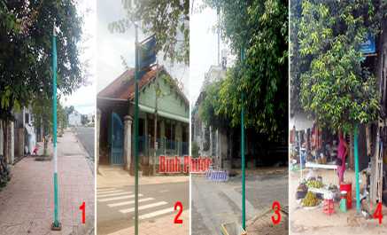 Cây xanh che biển tên đường Cây xanh che biển tên đường