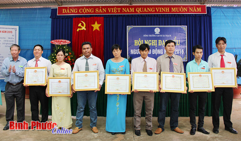 Nông trường Xa Trạch: Thu nhập bình quân gần 7 triệu đồng/người/tháng Nông trường Xa Trạch: Thu nhập bình quân gần 7 triệu đồng/người/tháng