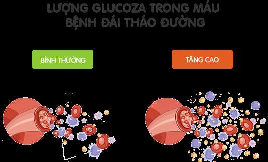 Những lưu ý trong chế độ ăn uống của người bị đái tháo đường Những lưu ý trong chế độ ăn uống của người bị đái tháo đường