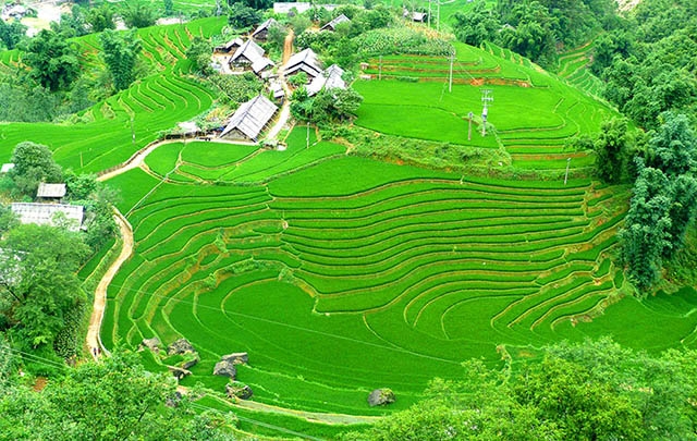 du-lich-viet-nam-101082018042834.jpg