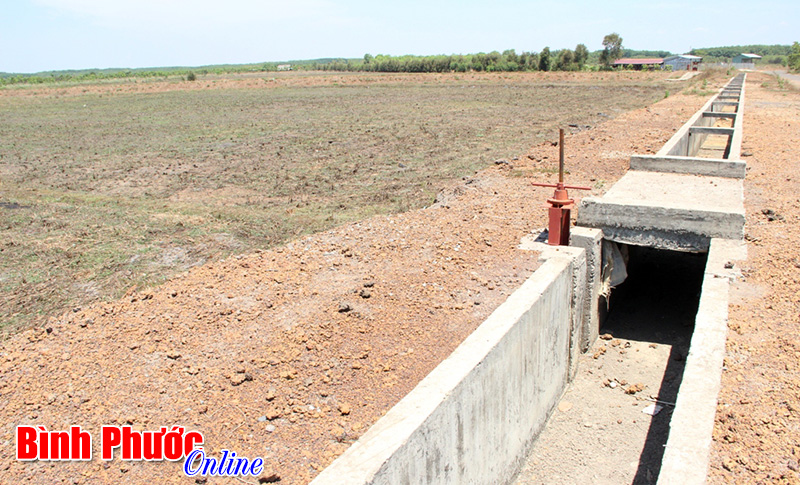 Nước đến chân sẽ không nhảy kịp Nước đến chân sẽ không nhảy kịp