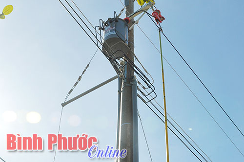 Đưa vào sử dụng đường điện ấp 9, xã Thanh Hòa Đưa vào sử dụng đường điện ấp 9, xã Thanh Hòa