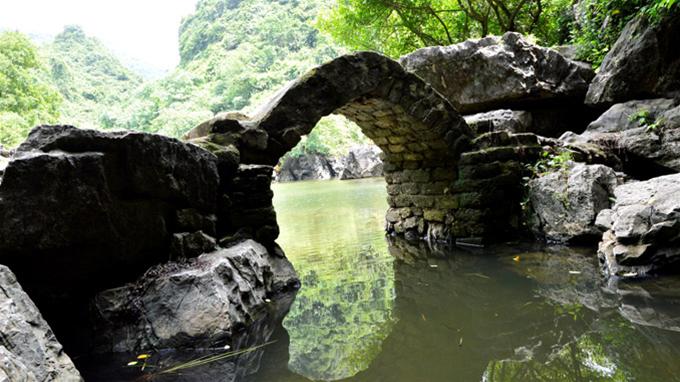 Kỳ thú ao Rong
