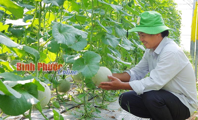 Đứng vững nhờ tự lực