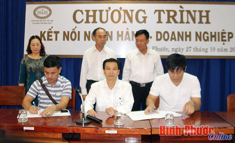 Dư nợ cho vay xây dựng NTM 10.695 tỷ đồng Dư nợ cho vay xây dựng NTM 10.695 tỷ đồng
