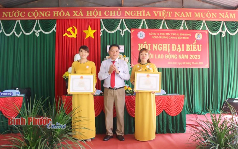 'Được mùa chớ phụ ngô khoai…'