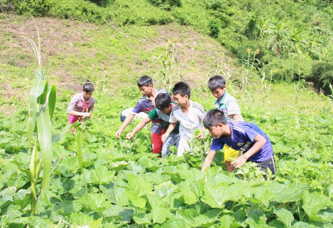 Tình thầy trò vùng cao Tình thầy trò vùng cao