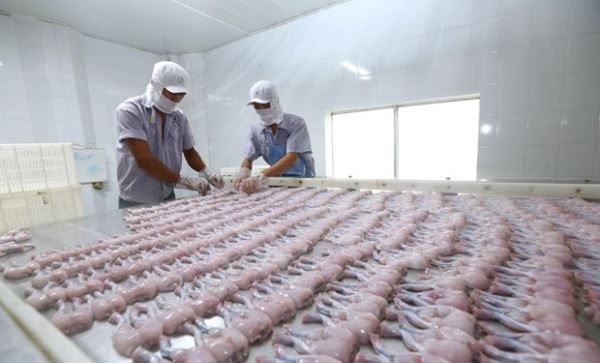 Ủy ban châu Âu: EVFTA chính thức có hiệu lực từ ngày 1-8