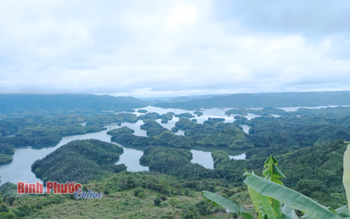 f_21340205042023.jpg