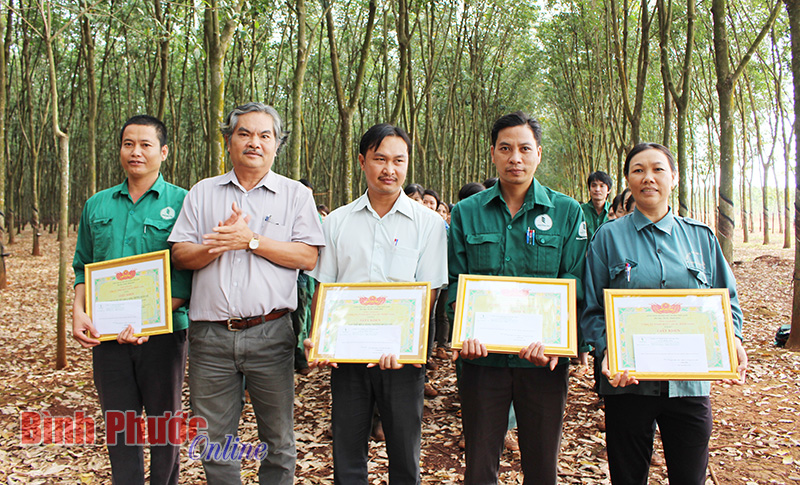 Nông trường Quản Lợi: Năng suất vườn cây đạt 2,299 tấn/ha Nông trường Quản Lợi: Năng suất vườn cây đạt 2,299 tấn/ha