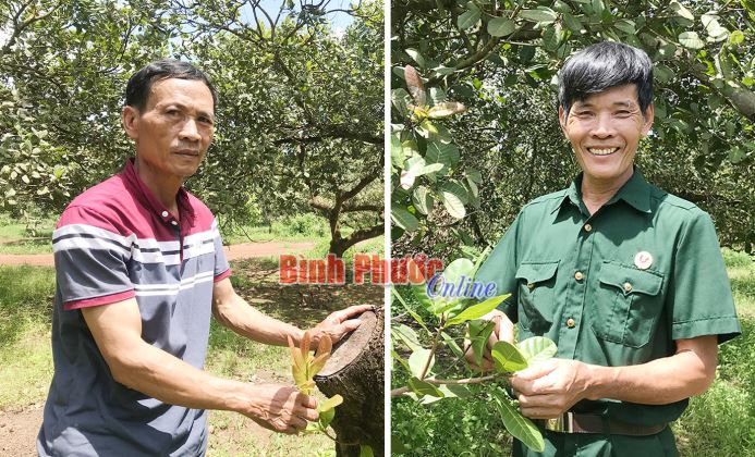 Bồi đắp lòng yêu nước cho thế hệ trẻ