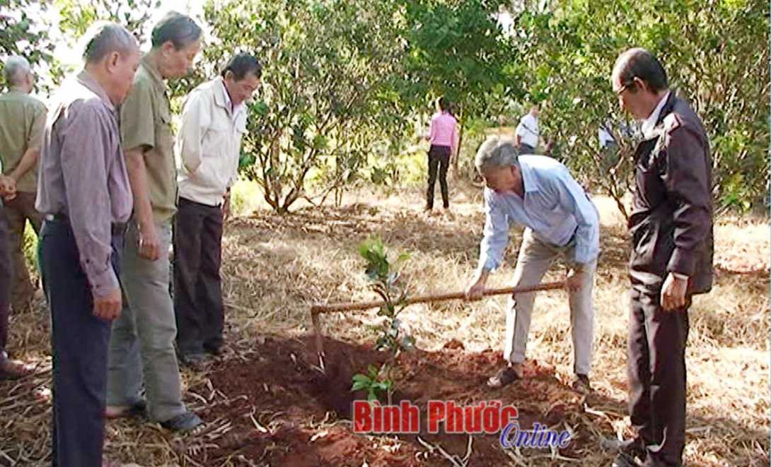7 năm đứng đầu tỉnh về trồng cây nhớ ơn Bác