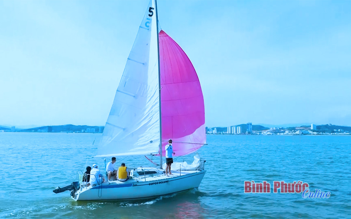 g6_11204411052022.jpg