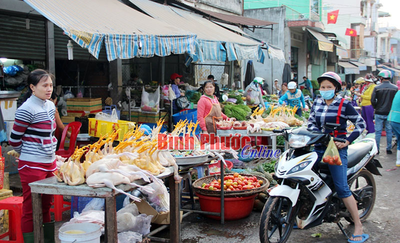Những mô hình chăn nuôi hiệu quả và bền vững