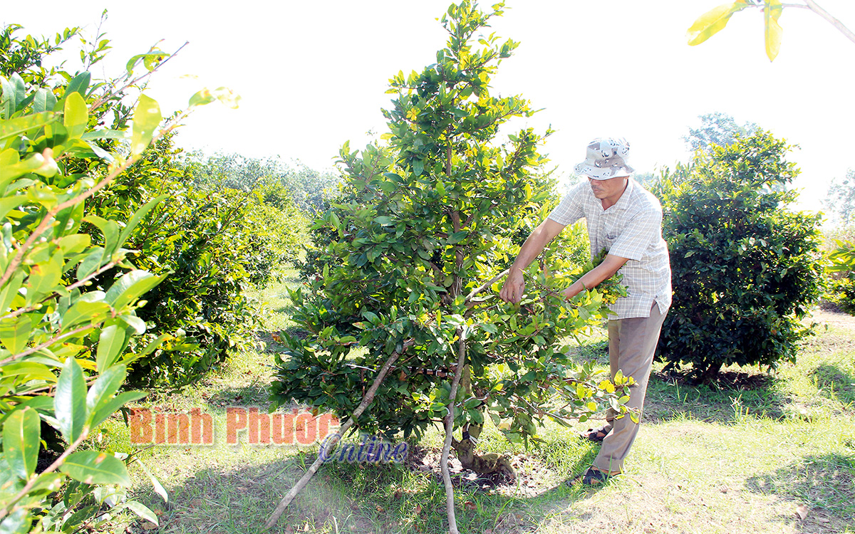 ga_xe_om_chuyen_nghe_2_11244708022021.jpg