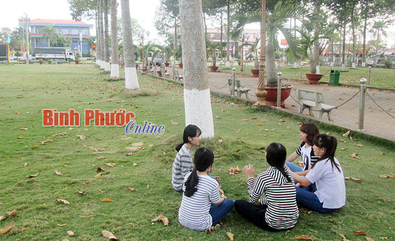 Tác dụng của việc quét vôi ở gốc cây xanh Tác dụng của việc quét vôi ở gốc cây xanh