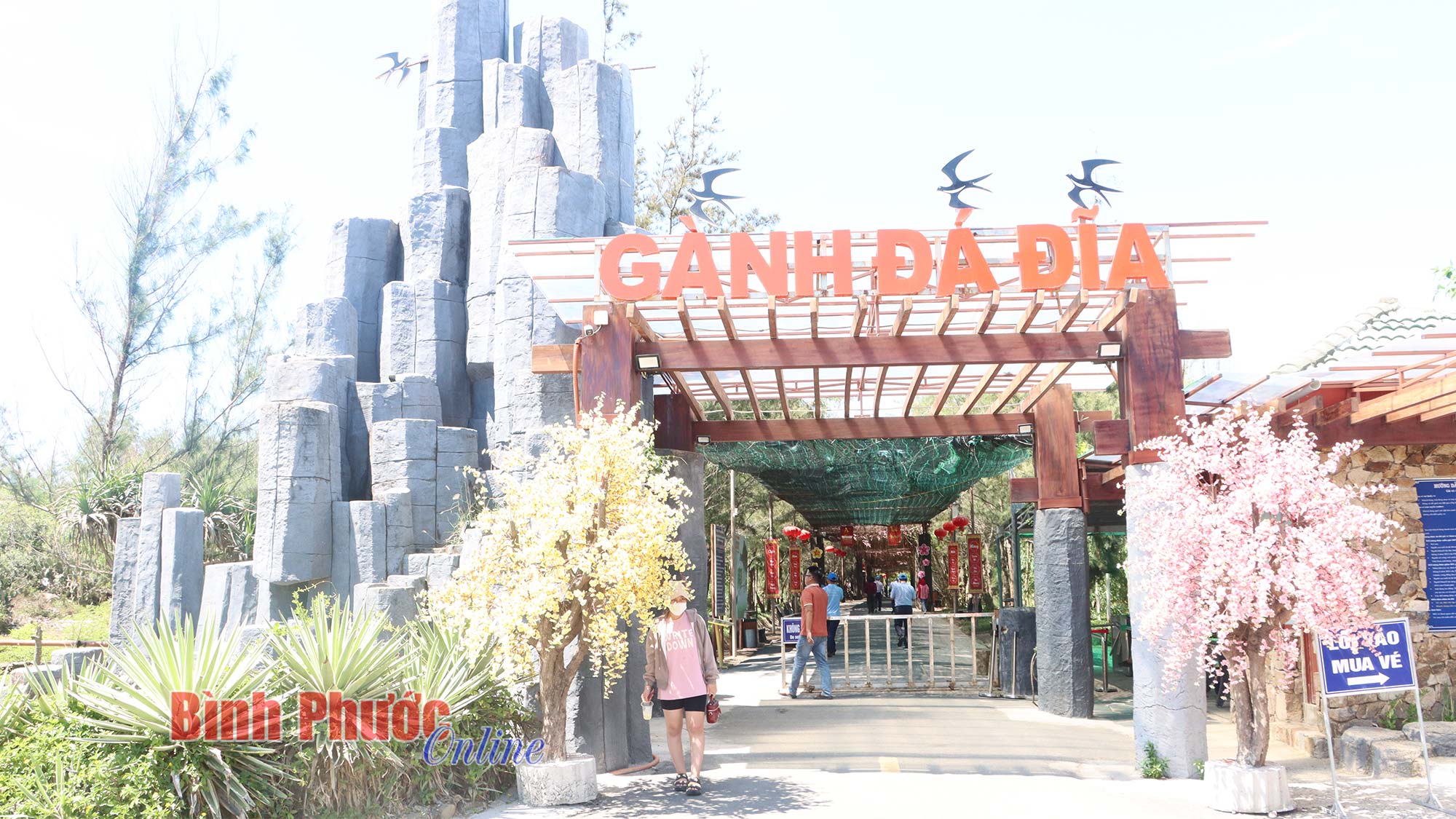 Gành Đá Đĩa - điểm tham quan hấp dẫn