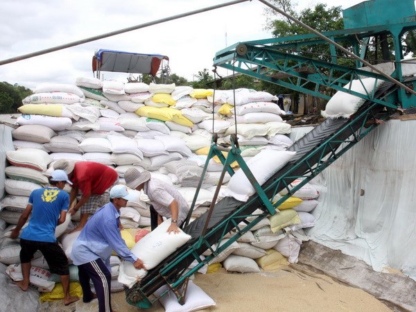 Việt Nam tham gia đấu thầu cung cấp gạo cho Philippines Việt Nam tham gia đấu thầu cung cấp gạo cho Philippines