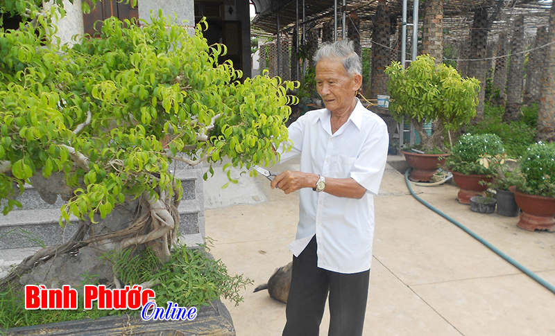 Gặp gỡ chiến sĩ Điện Biên năm xưa Gặp gỡ chiến sĩ Điện Biên năm xưa
