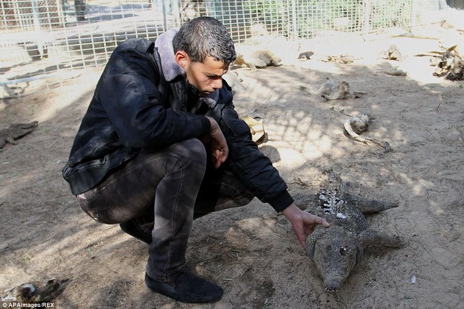gaza5.jpg