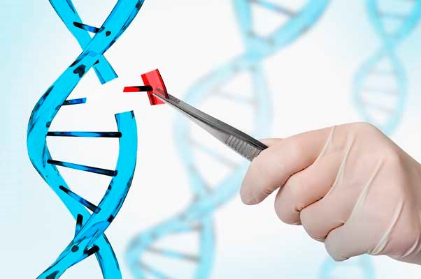 gene19122018040019.jpg