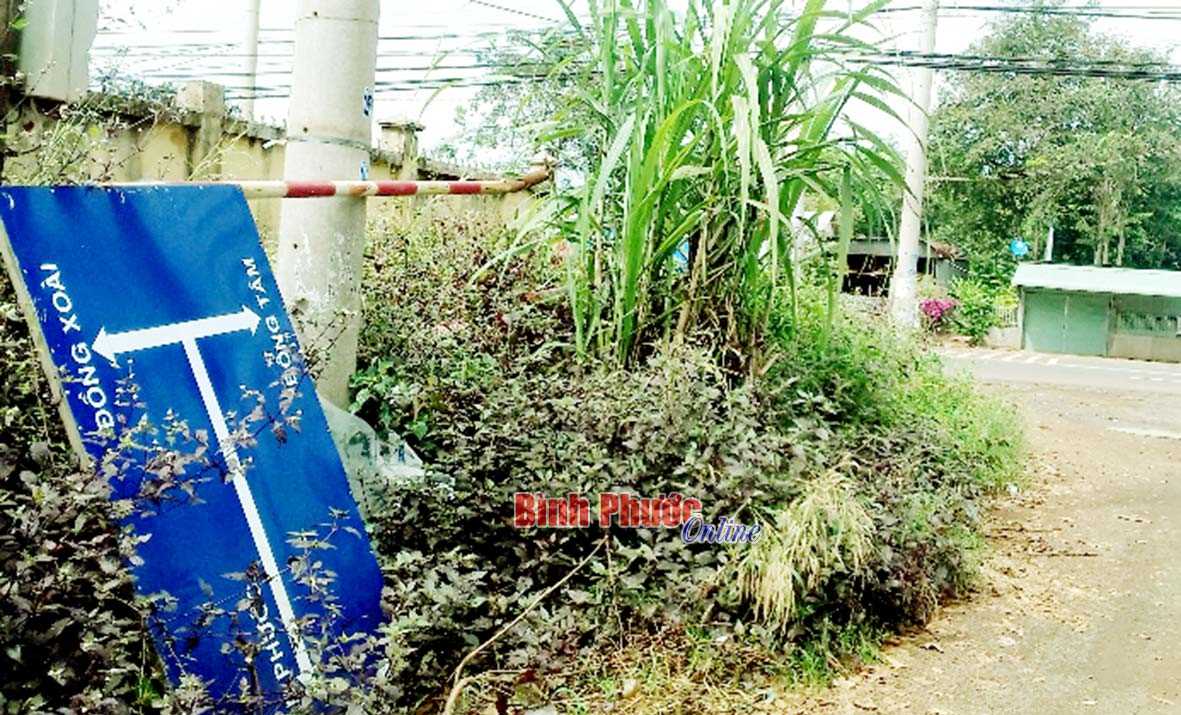 Biển chỉ dẫn đường “nằm ngủ” Biển chỉ dẫn đường “nằm ngủ”