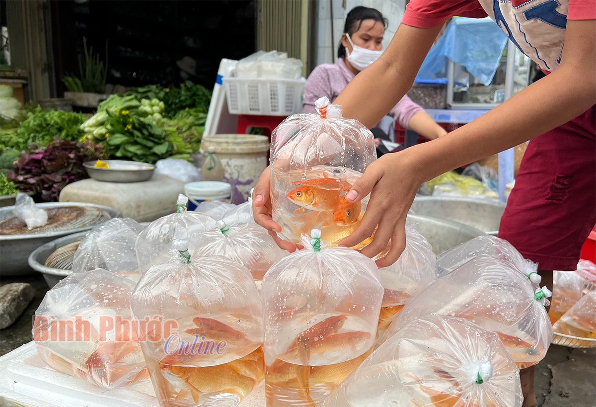 ghi_nhan_cho_ca_cung_ong_tao_3_10270625012022.jpg