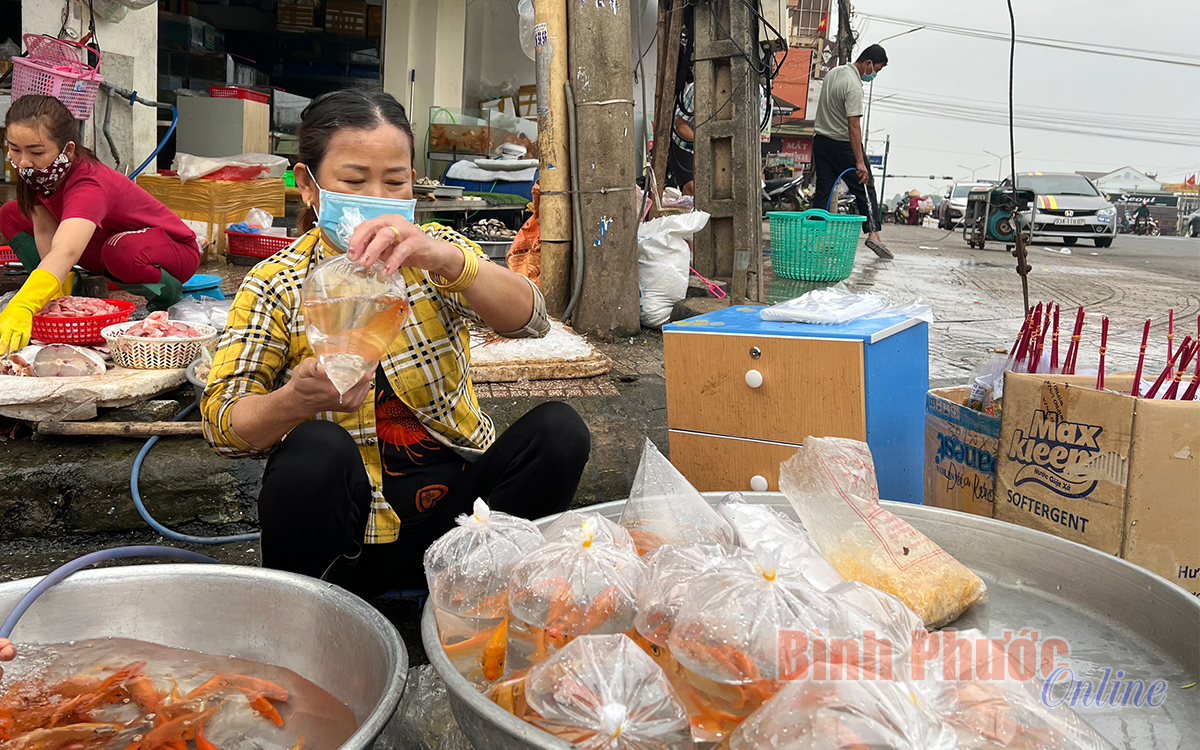 ghi_nhan_cho_ca_cung_ong_tao_4_10265425012022.jpg