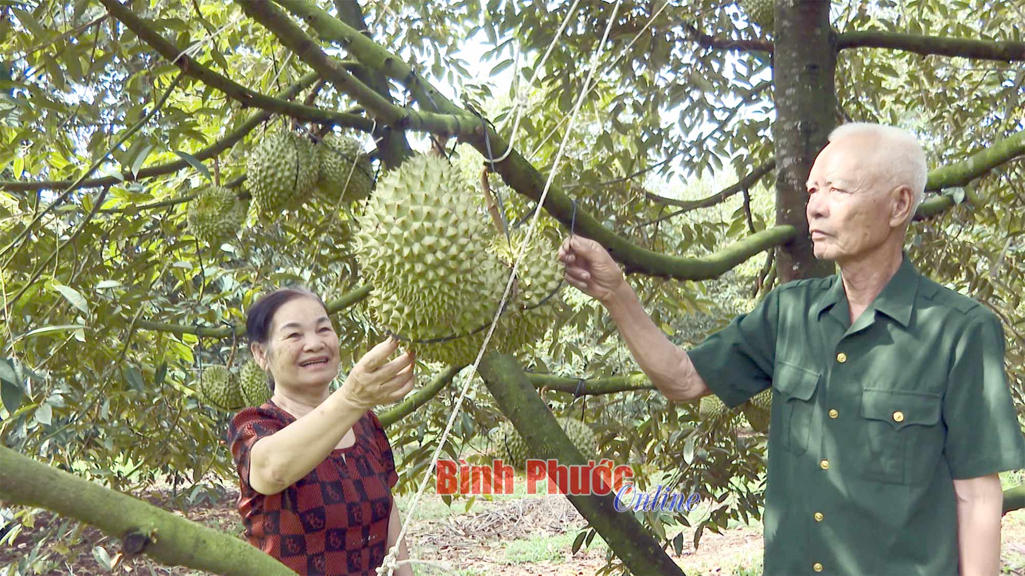 Giá trị của hòa bình Giá trị của hòa bình