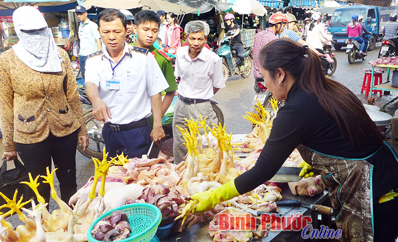 Đẩy mạnh phát triển chăn nuôi gia súc, gia cầm Đẩy mạnh phát triển chăn nuôi gia súc, gia cầm