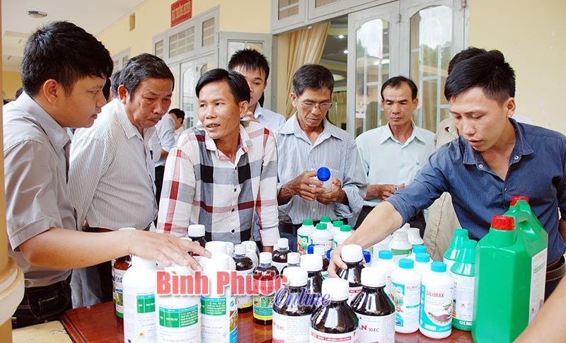 Giải pháp khôi phục và cải tạo vườn điều Giải pháp khôi phục và cải tạo vườn điều