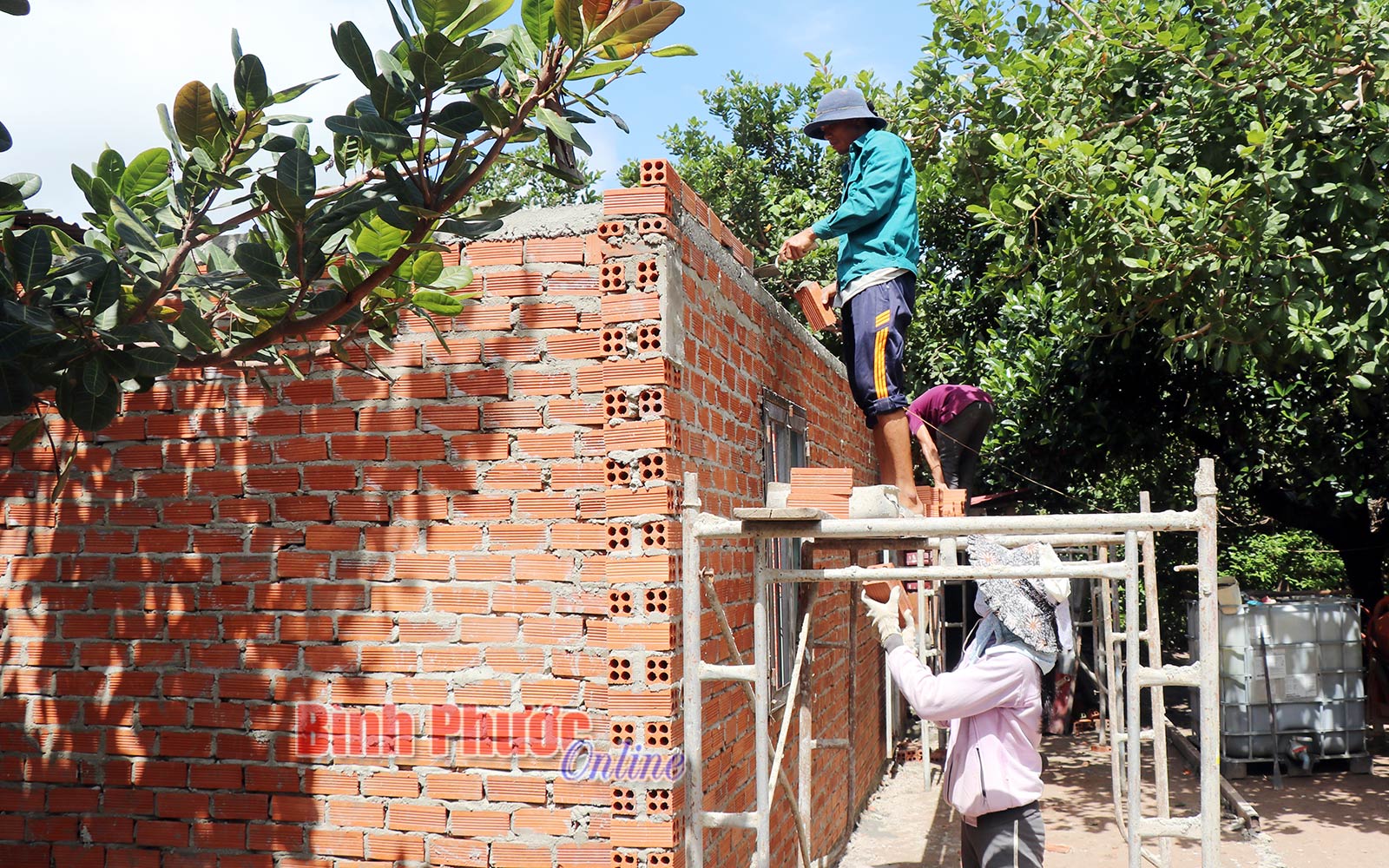 giam_ngheo_09223930112020.jpg