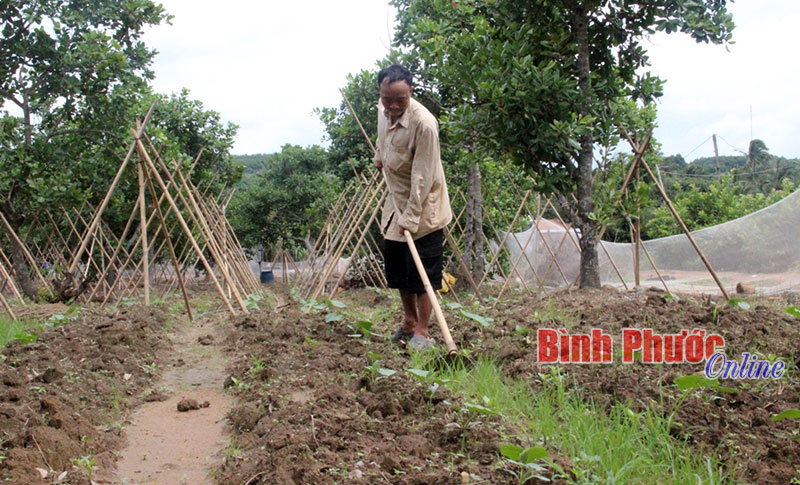 Hướng đến giảm nghèo bền vững Hướng đến giảm nghèo bền vững