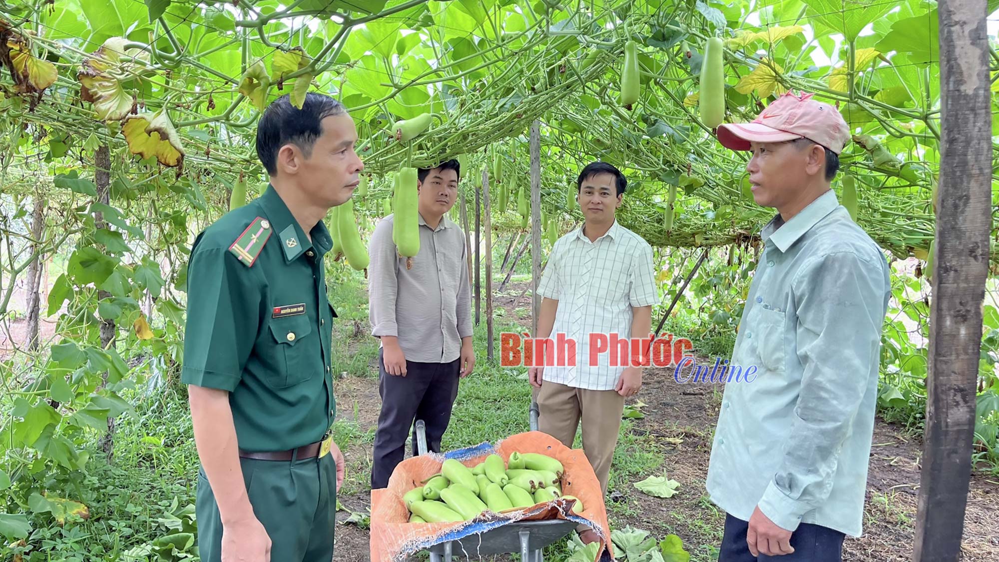 Giản dị làm nên điều vĩ đại
