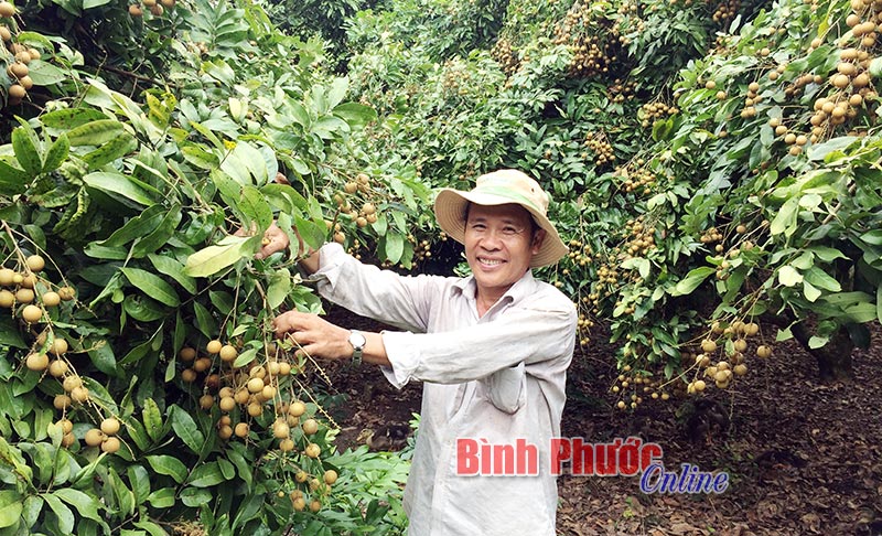 gianhantang01122017094638.jpg